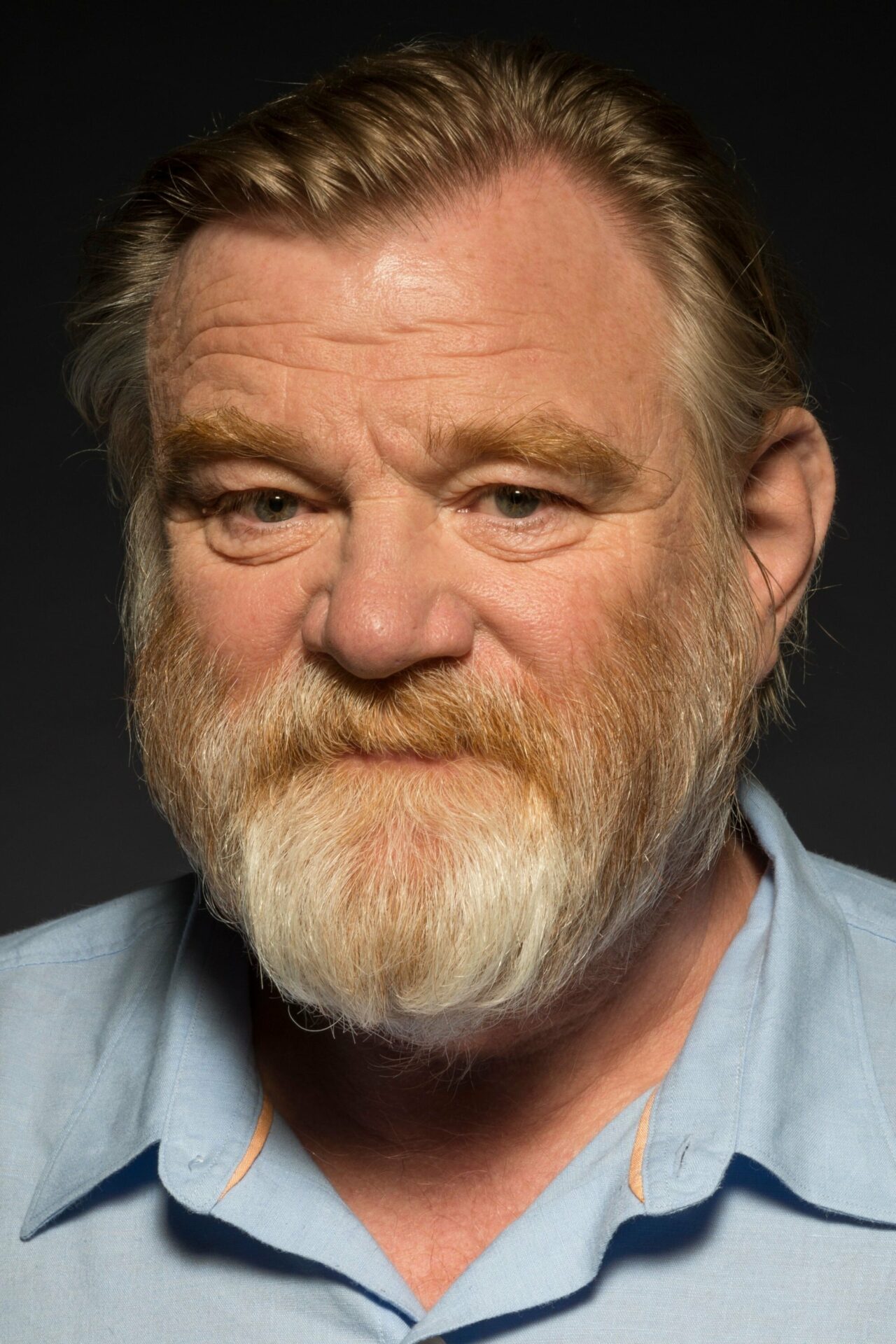 Brendan Gleeson - HeadStark