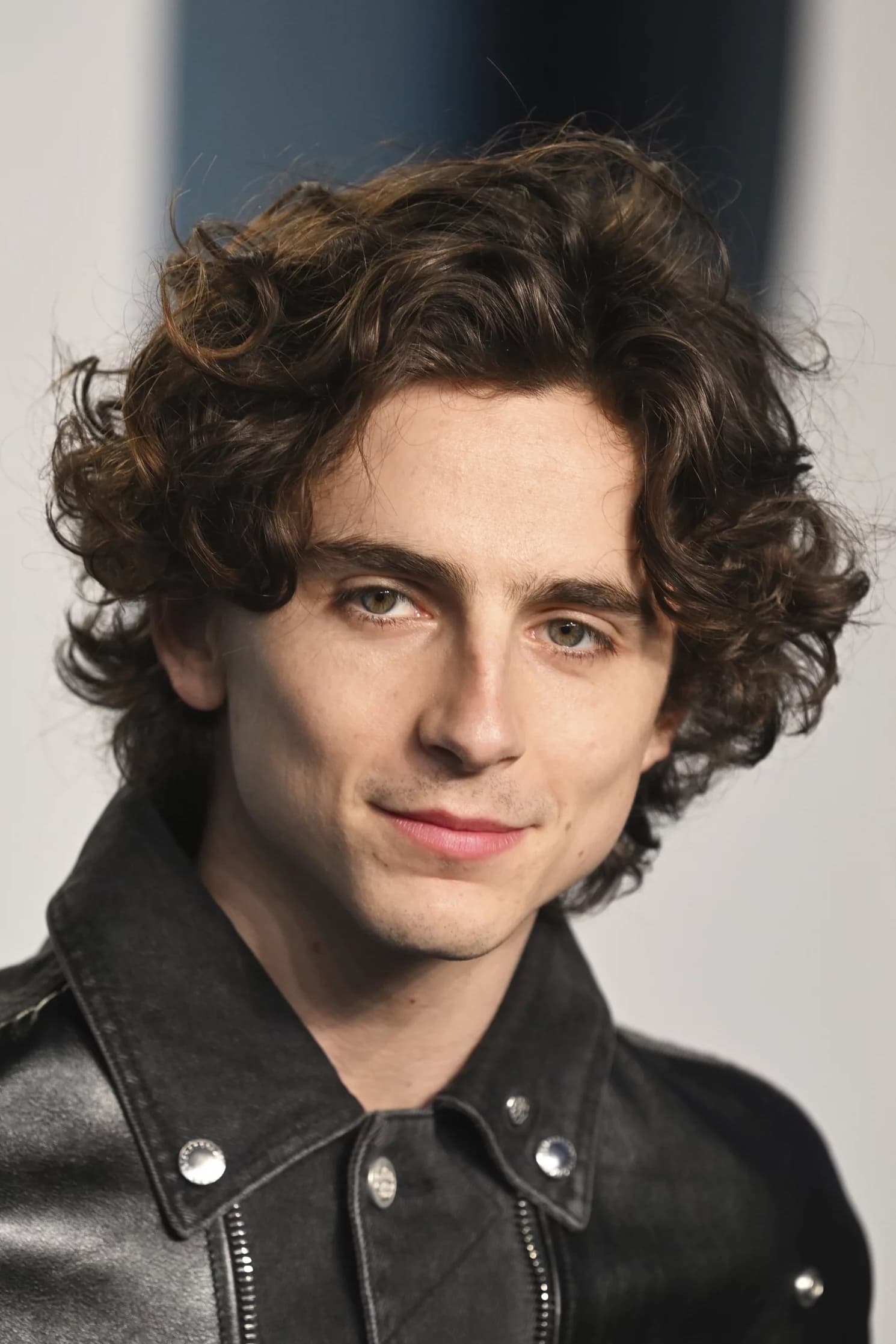 Timothée Chalamet - HeadStark