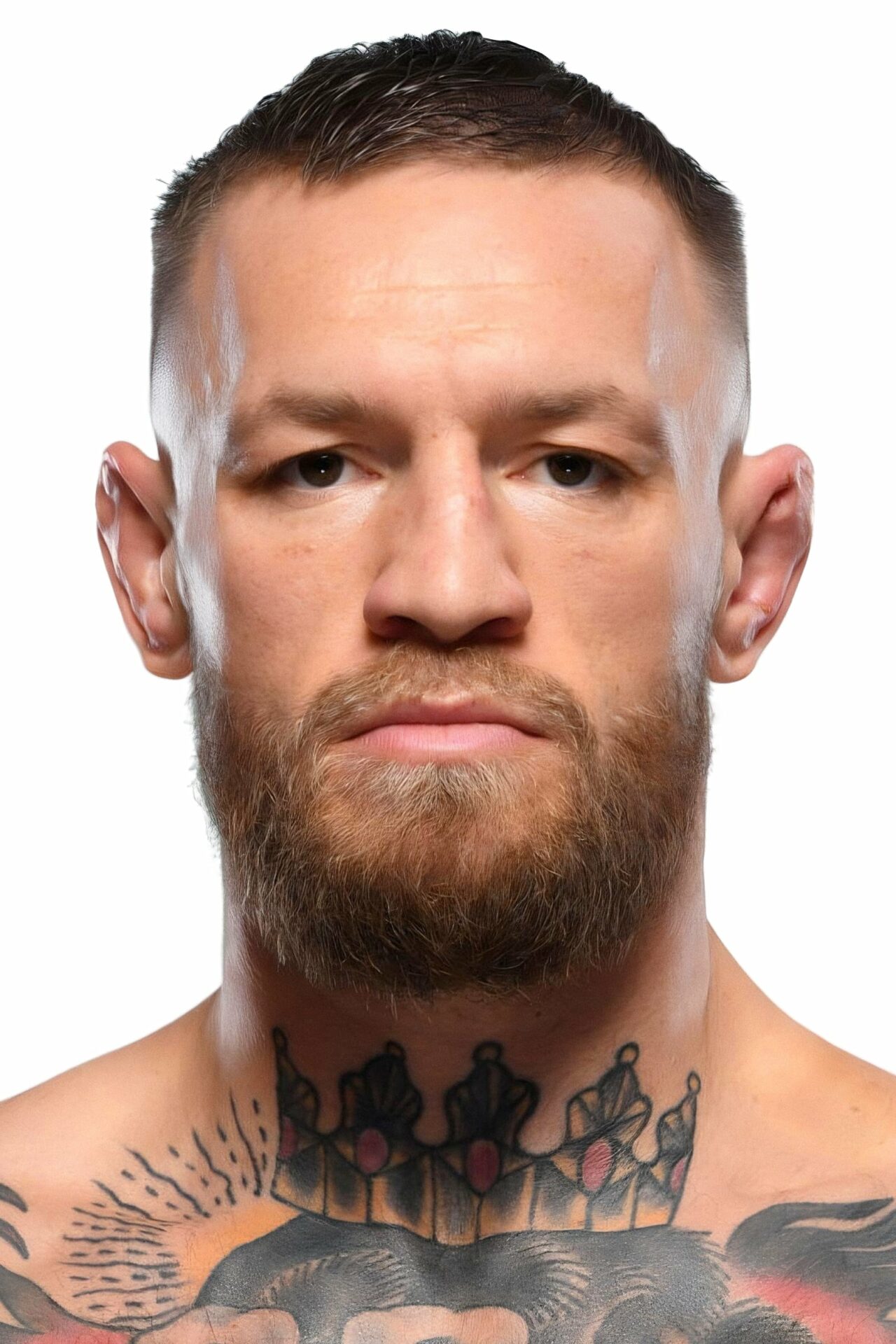 Conor McGregor - HeadStark